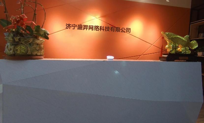 济宁盛羿网络科技 新锐网络科技公司的定位与发展观察
