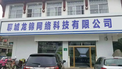 聊城龙锦网络科技 立足聊城，赋能数字未来的网络科技公司